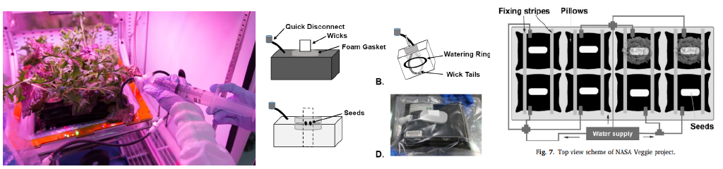 Vegetable Production System (Veggie).PNG